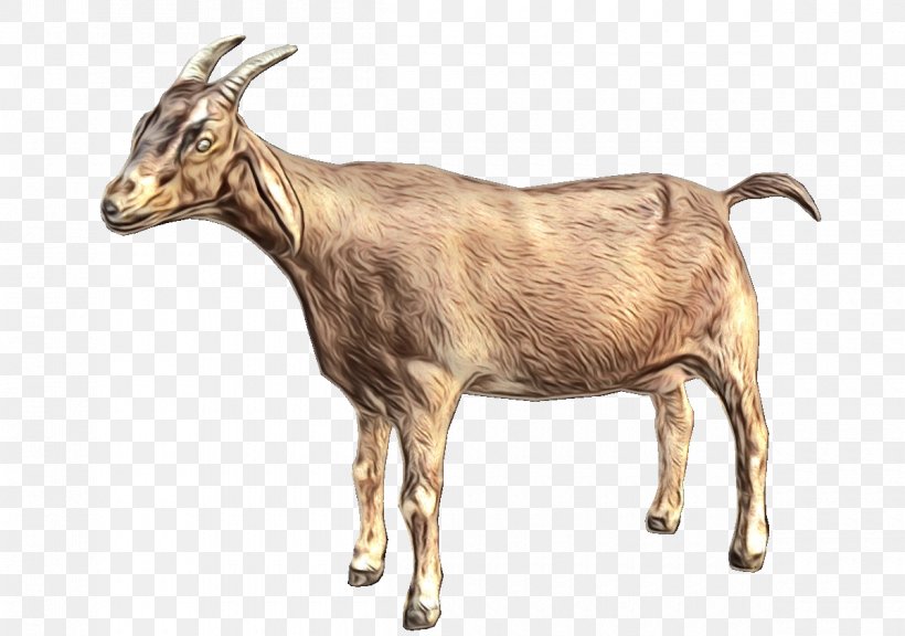 Goat Clip Art Vector Graphics Image, PNG, 1200x844px, Goat, Brass, Cowgoat Family, Feral Goat, Goatantelope Download Free