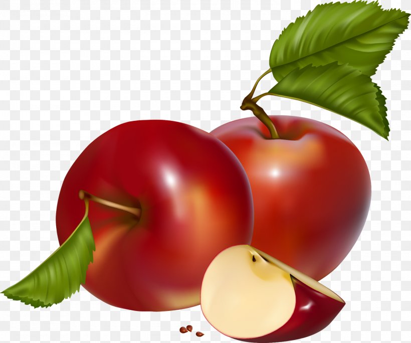Apple Clip Art, PNG, 1500x1252px, Apple, Accessory Fruit, Acerola, Acerola Family, Blog Download Free
