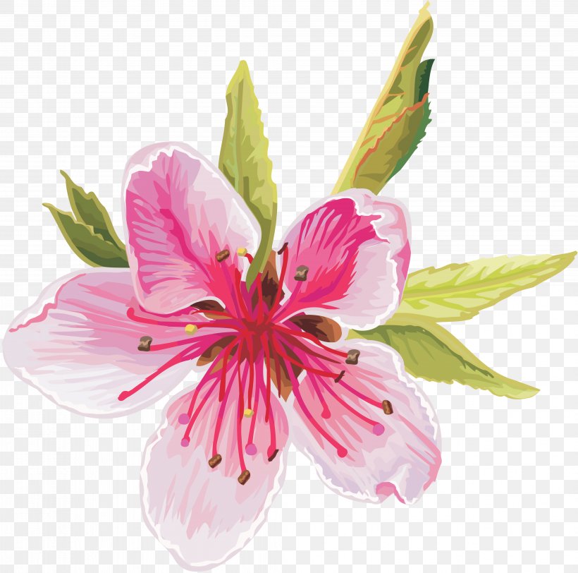 Flower Download Clip Art, PNG, 4127x4089px, Flower, Alstroemeriaceae, Blossom, Cherry Blossom, Cut Flowers Download Free