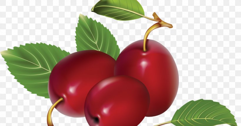 Image File Formats Clip Art, PNG, 1200x630px, Image File Formats, Berry, Cherry, Currant, Food Download Free