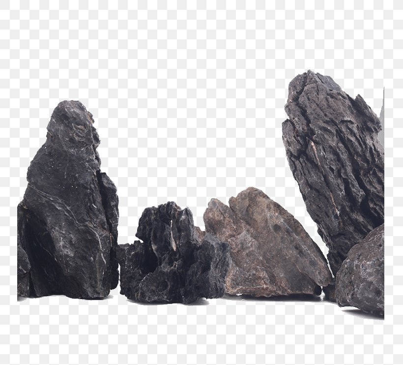 Rock, PNG, 750x742px, Rock, Black And White, Brown, Fur, Google Images Download Free