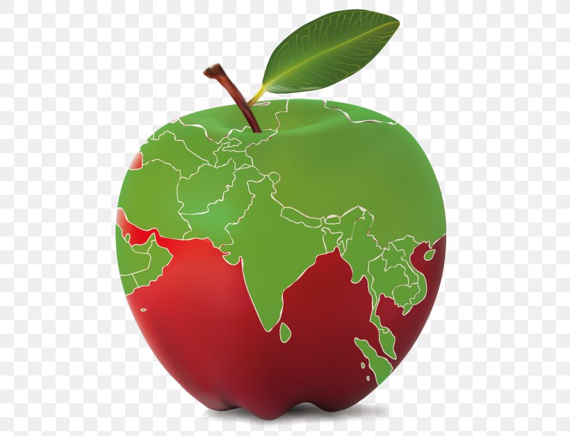 Apple Curriculum Chandigarh Education Common Core State Standards Initiative, PNG, 558x627px, Apple, Chandigarh, Christmas Ornament, Curriculum, Education Download Free