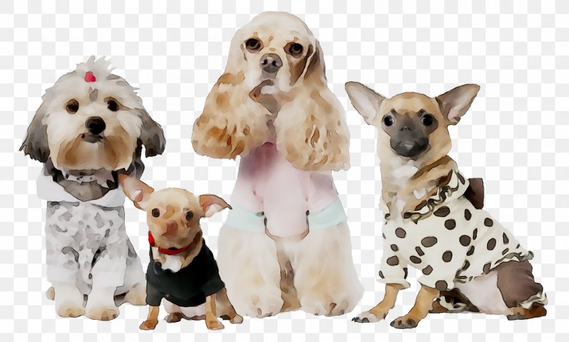 Chihuahua Shih Tzu English Cocker Spaniel Puppy, PNG, 1786x1074px, Chihuahua, American Cocker Spaniel, Animal, Animal Figure, Canidae Download Free