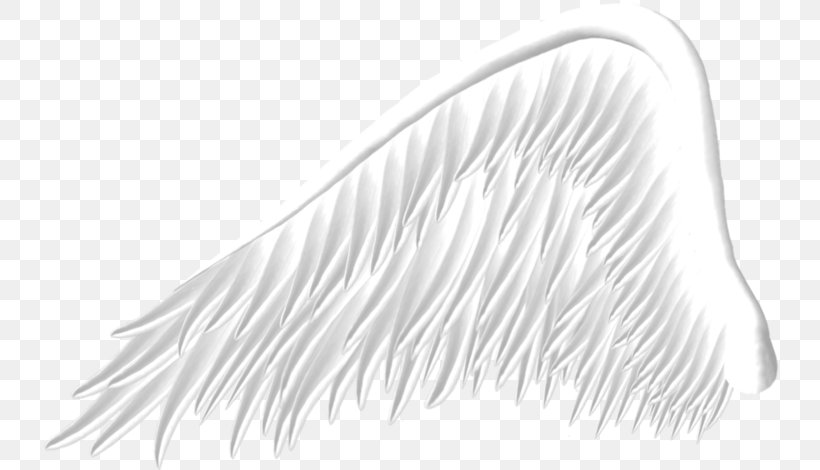 Wing Clip Art, PNG, 740x470px, Wing, Angel, Angel Wing, Black And White, Document Download Free