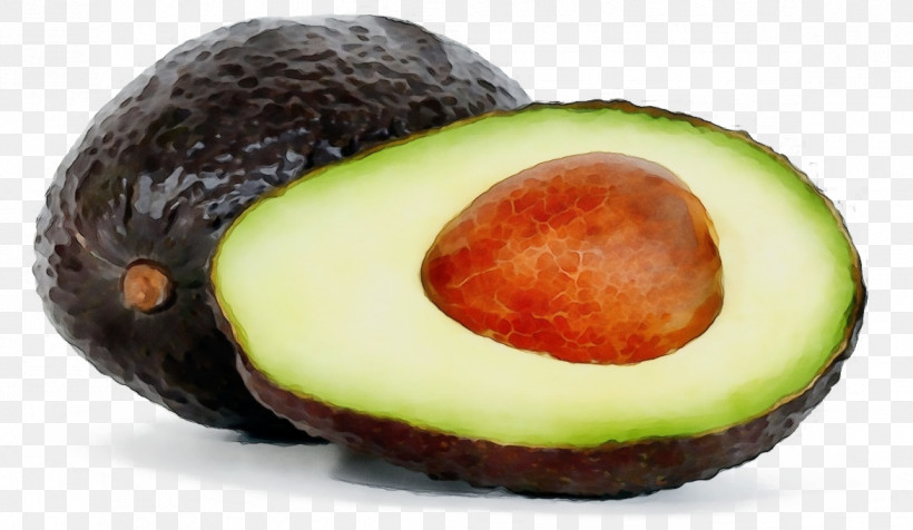 Avocado, PNG, 1173x681px, Watercolor, Avocado, Avocado Oil, Avocado Salad, Avocado Toast Download Free