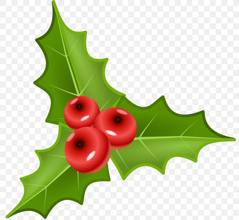 Berry Common Holly Clip Art, PNG, 800x755px, Berry, Aquifoliaceae, Aquifoliales, Christmas, Common Holly Download Free