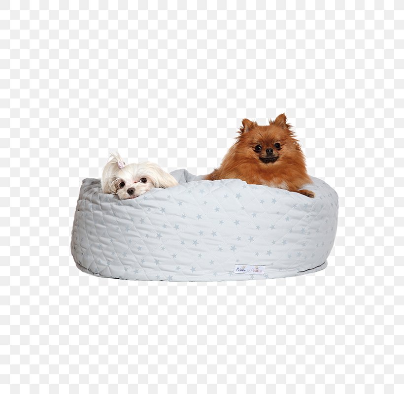 Dog Breed Pomeranian Puppy Companion Dog Bed, PNG, 600x800px, Dog Breed, Bed, Breed, Companion Dog, Dog Download Free