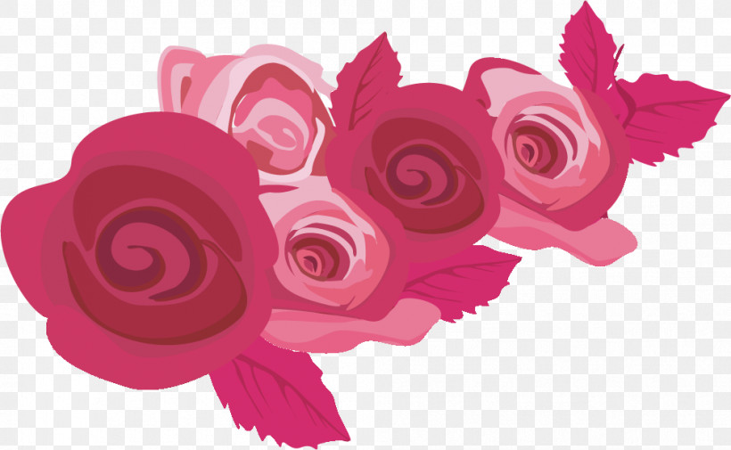 Flowers Roses Valentines Day, PNG, 994x613px, Flowers, Flower, Garden Roses, Magenta, Petal Download Free