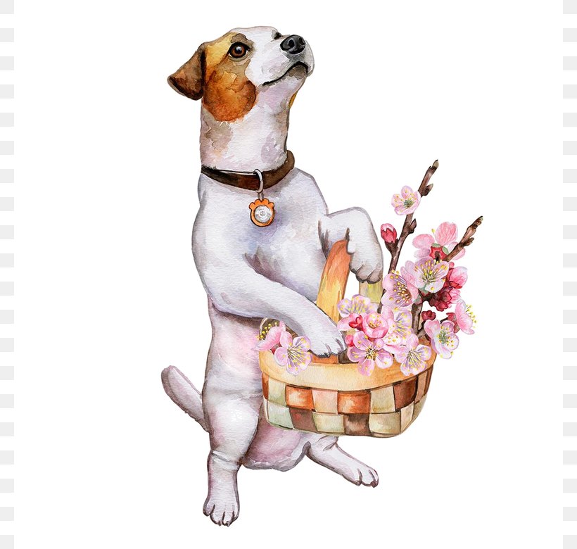 Jack Russell Terrier Puppy Illustration Image Dog Behavior, PNG, 780x780px, Jack Russell Terrier, Carnivoran, Companion Dog, Dog, Dog Behavior Download Free