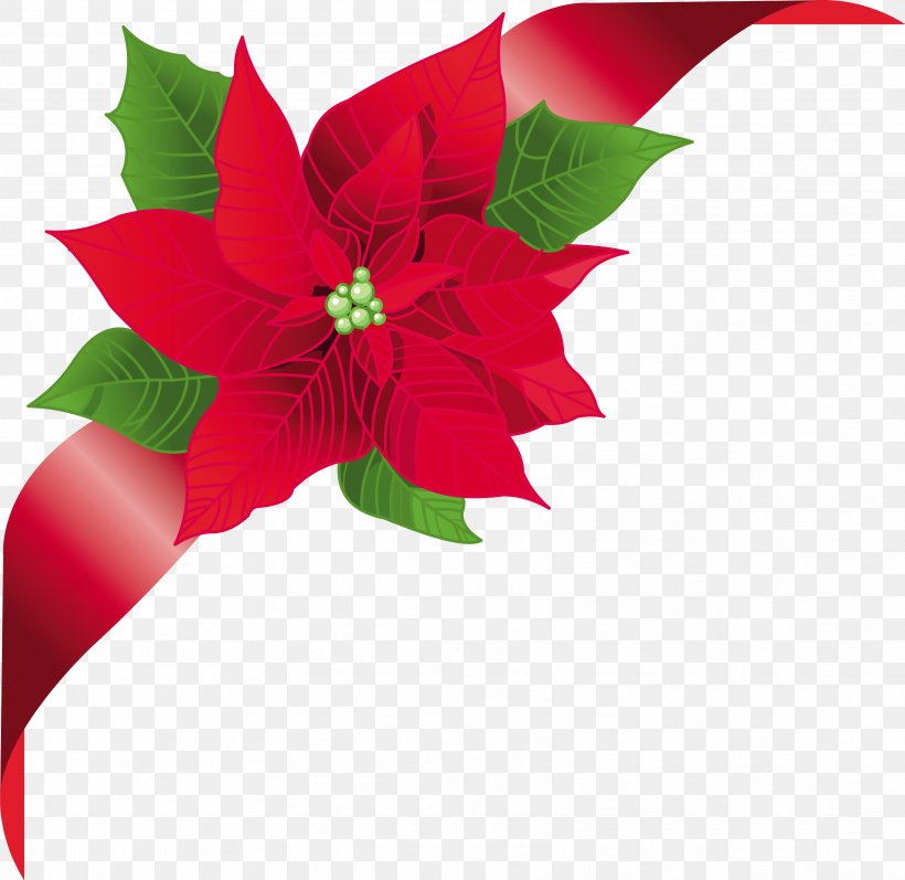 Poinsettia Clip Art, PNG, 3438x3345px, Poinsettia, Christmas, Christmas Decoration, Christmas Ornament, Cut Flowers Download Free