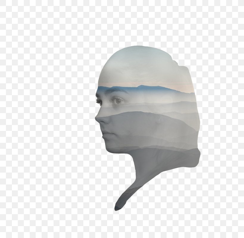 Headgear Jaw Nose Neck, PNG, 800x800px, Headgear, Head, Jaw, Neck, Nose Download Free