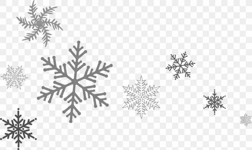 Snowflake Page Footer Ice Solution, PNG, 1341x800px, Snowflake, Black And White, Branch, Crystal Snow, Decor Download Free