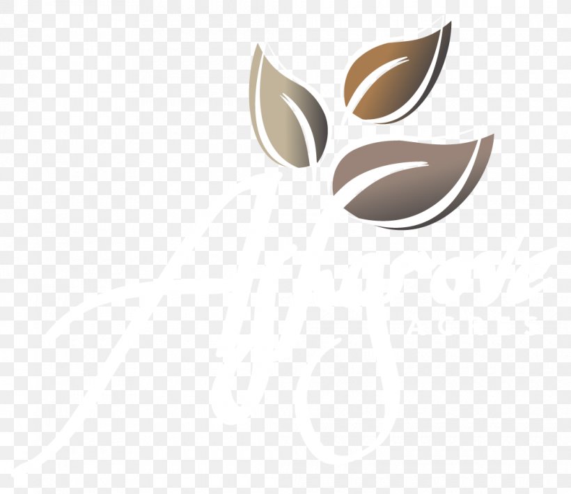 Logo Desktop Wallpaper Font, PNG, 1040x900px, Logo, Computer, Wing Download Free