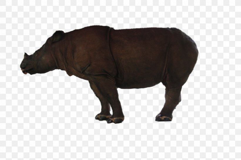 Rhinoceros Cattle Horn Mammal Terrestrial Animal, PNG, 865x577px, Rhinoceros, Animal, Animal Figure, Cattle, Cattle Like Mammal Download Free