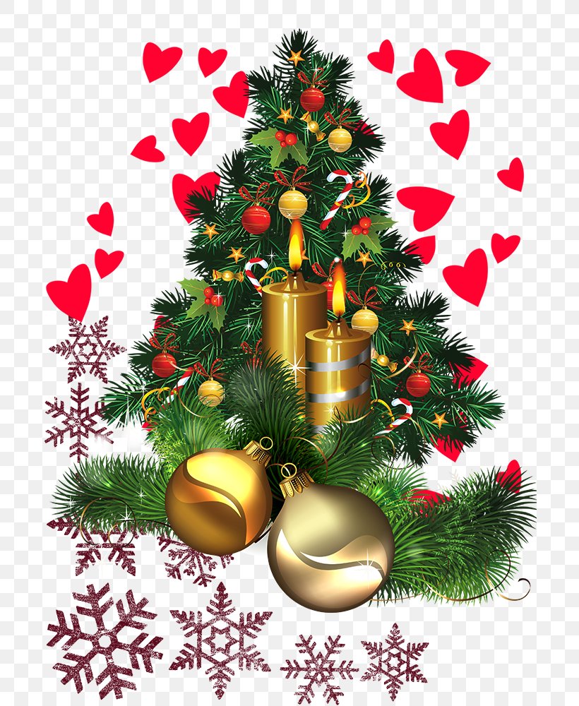 Christmas Tree Gift, PNG, 700x1000px, Christmas Tree, Branch, Christmas, Christmas Decoration, Christmas Ornament Download Free