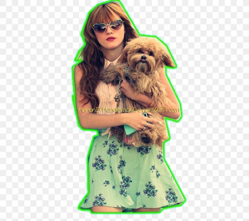 Dog Breed Puppy Toy Poodle Nintendogs, PNG, 900x800px, Dog Breed, Bella Thorne, Breed, Carnivoran, Clothing Download Free
