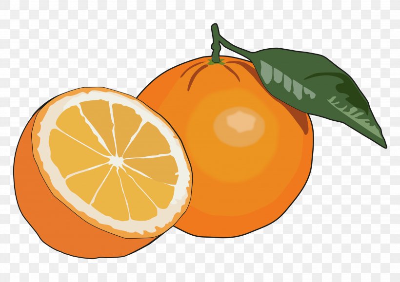 Orange Juice Fruit Mandarina Food, PNG, 3508x2480px, Orange Juice, Bitter Orange, Citric Acid, Citrus, Clementine Download Free