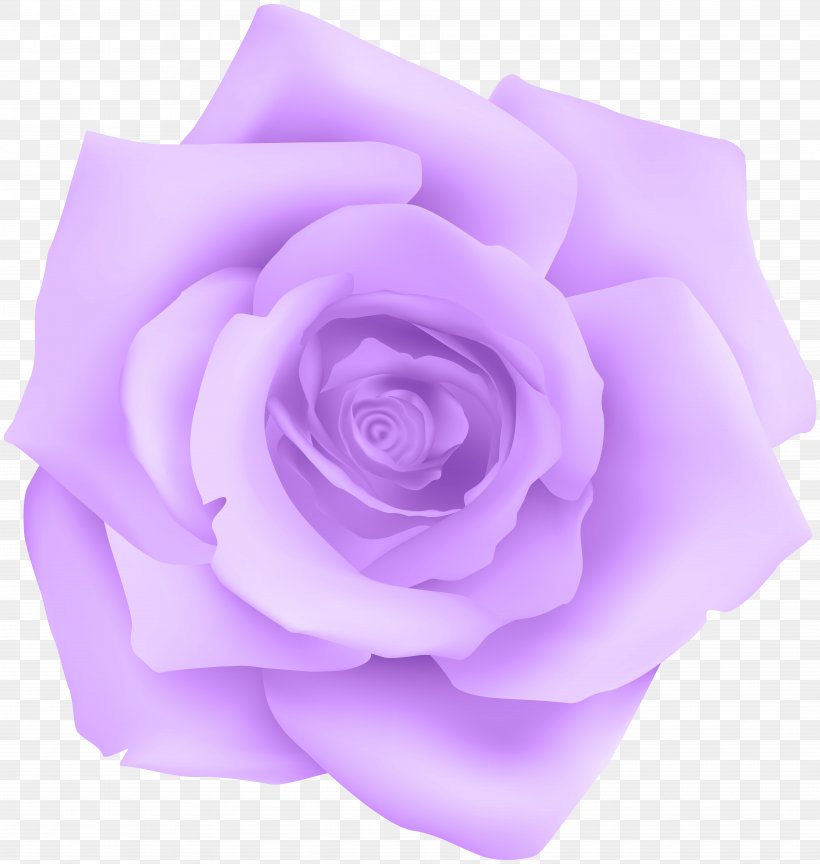 Purple Rose Blue, PNG, 7591x8000px, Centifolia Roses, Blue Rose, Cut Flowers, Flower, Flowering Plant Download Free