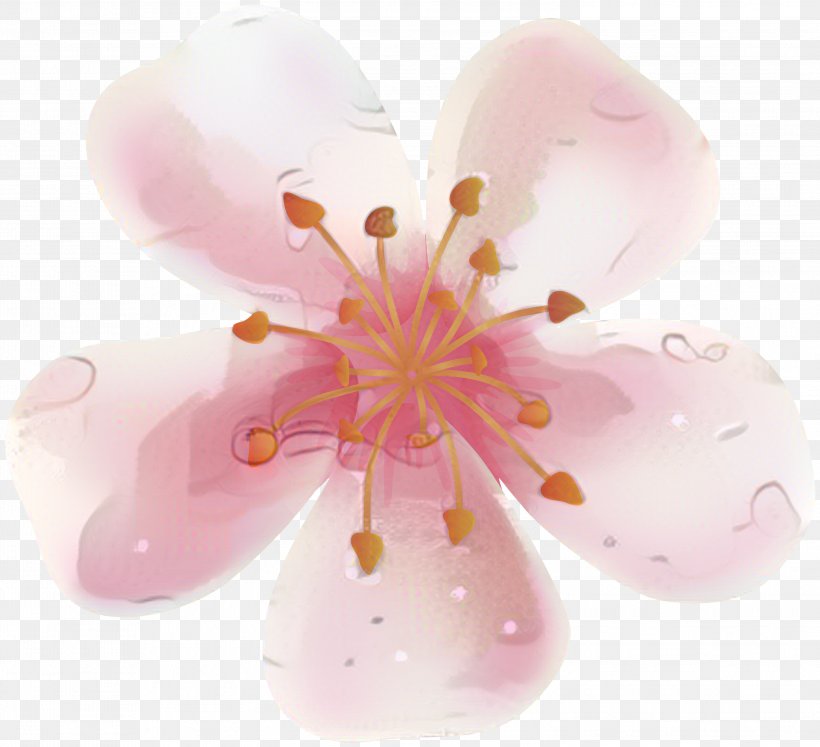 ST.AU.150 MIN.V.UNC.NR AD Cherry Blossom Pink M Close-up, PNG, 2999x2733px, Stau150 Minvuncnr Ad, Blossom, Cherries, Cherry Blossom, Closeup Download Free