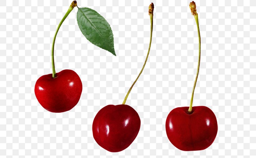 Sweet Cherry Malpighia Glabra Cerasus Auglis, PNG, 600x508px, Cherry, Accessory Fruit, Acerola, Acerola Family, Auglis Download Free