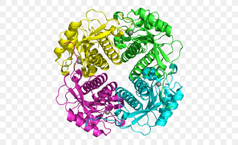 APIP APAF1 Protein Lyase Gene, PNG, 500x500px, Apaf1, Art, Cell Death, Enzyme, Gene Download Free