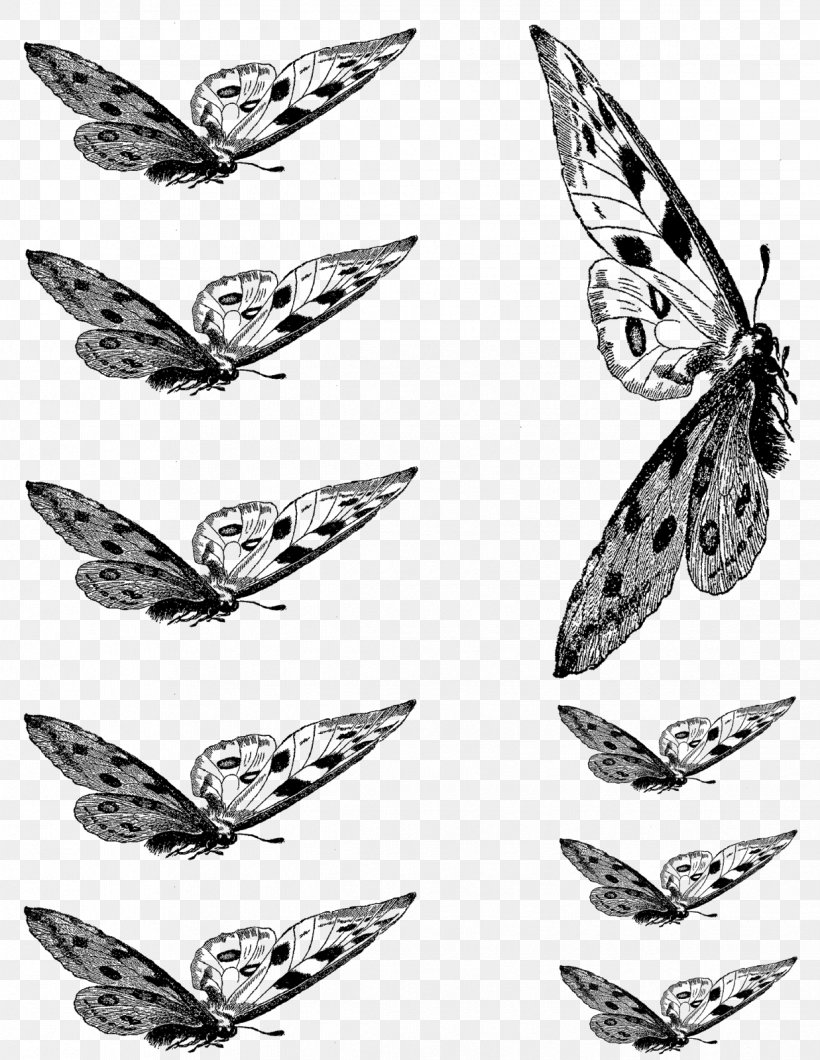 Butterfly Insect Collage Clip Art, PNG, 1237x1600px, Butterfly, Black, Black And White, Butterflies And Moths, Collage Download Free