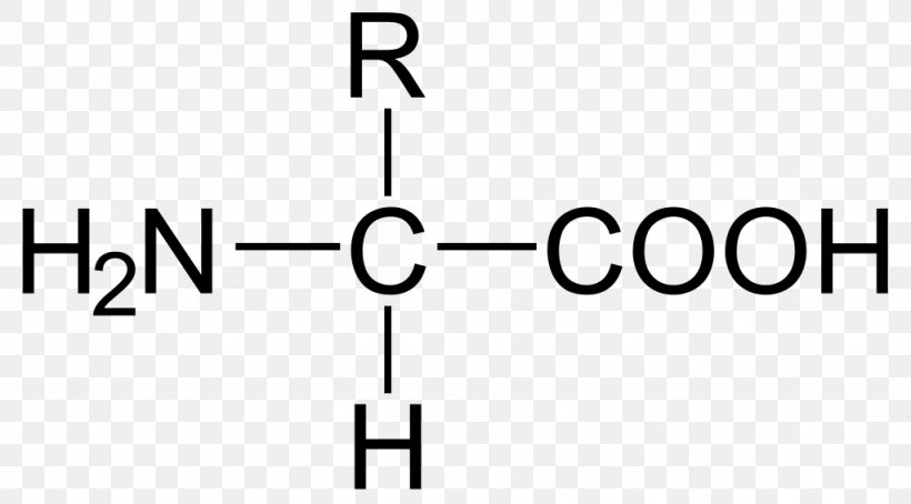 Carboxylic Acid Amino Acid Carbon Amine, PNG, 1024x568px, Carboxylic Acid, Acid, Alpha And Beta Carbon, Amine, Amino Acid Download Free