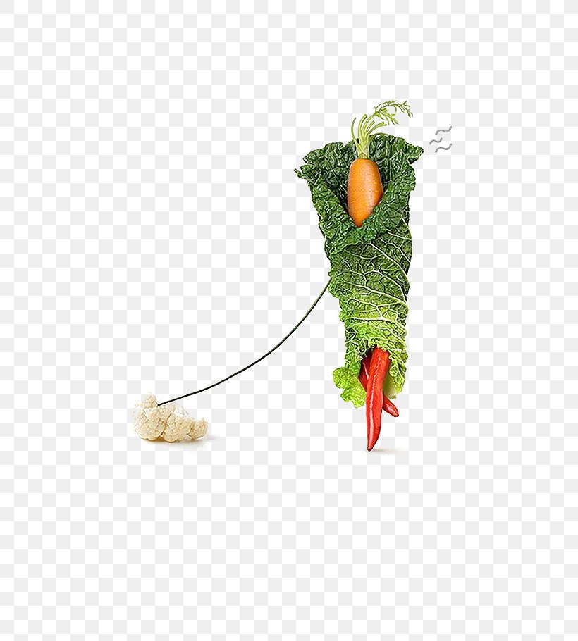 Carrot Vegetable Food Creativity Photography, PNG, 650x910px, Carrot, Chinese Cabbage, Creative Work, Creativity, Food Download Free