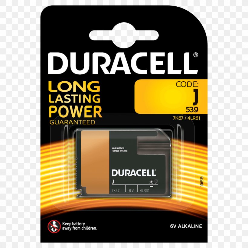 Flash Memory Cards Electric Battery Duracell Button Cell Alkaline Battery, PNG, 1000x1000px, Flash Memory Cards, Alkaline Battery, Battery, Button Cell, Computer Data Storage Download Free