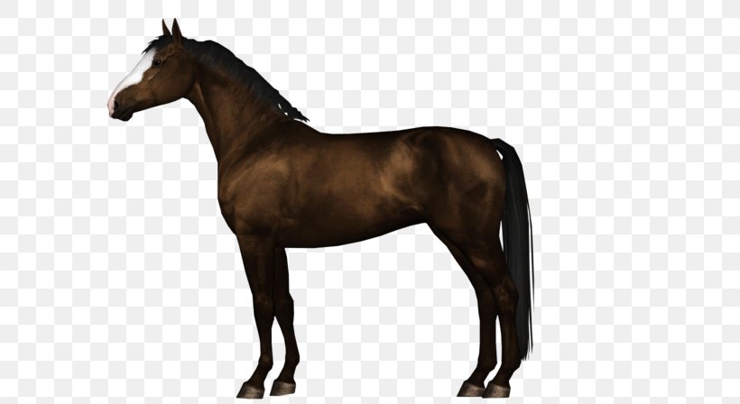 Stallion Hanoverian Horse Mustang Pony Foal, PNG, 800x448px, Stallion, Black, Bridle, Colt, Drawing Download Free