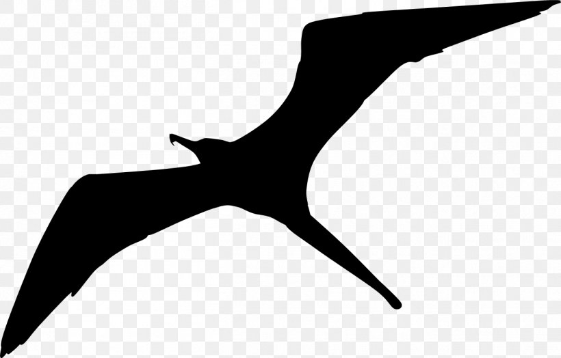 Fregatidae Bird Flock Clip Art, PNG, 1311x838px, Fregatidae, Beak, Bird, Black, Black And White Download Free