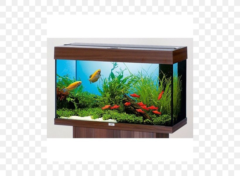 Aquarium Filters Fishkeeping Glass Heater, PNG, 800x600px, Aquarium, Aquarium Decor, Aquarium Filters, Aquarium Sklorex Spol Sro, Aquatic Plant Download Free