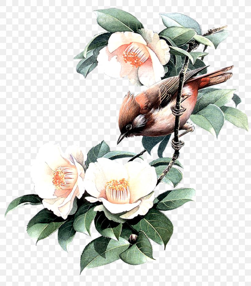 Bird Owl Painting, PNG, 886x1010px, Bird, Art, Artificial Flower, Birdandflower Painting, Cut Flowers Download Free