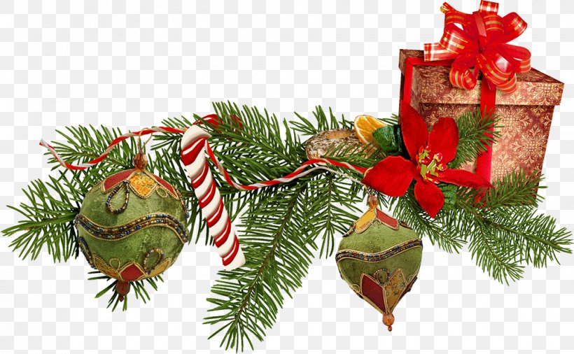 Christmas Ornament New Year Gift, PNG, 1017x628px, Christmas, Christmas Decoration, Christmas Ornament, Conifer, Evergreen Download Free