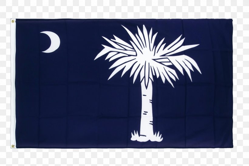 Flag Of South Carolina South Carolina Highway 3 Rectangle Area, PNG, 1500x1000px, Flag, Area, Blue, Centimeter, Curriculum Vitae Download Free