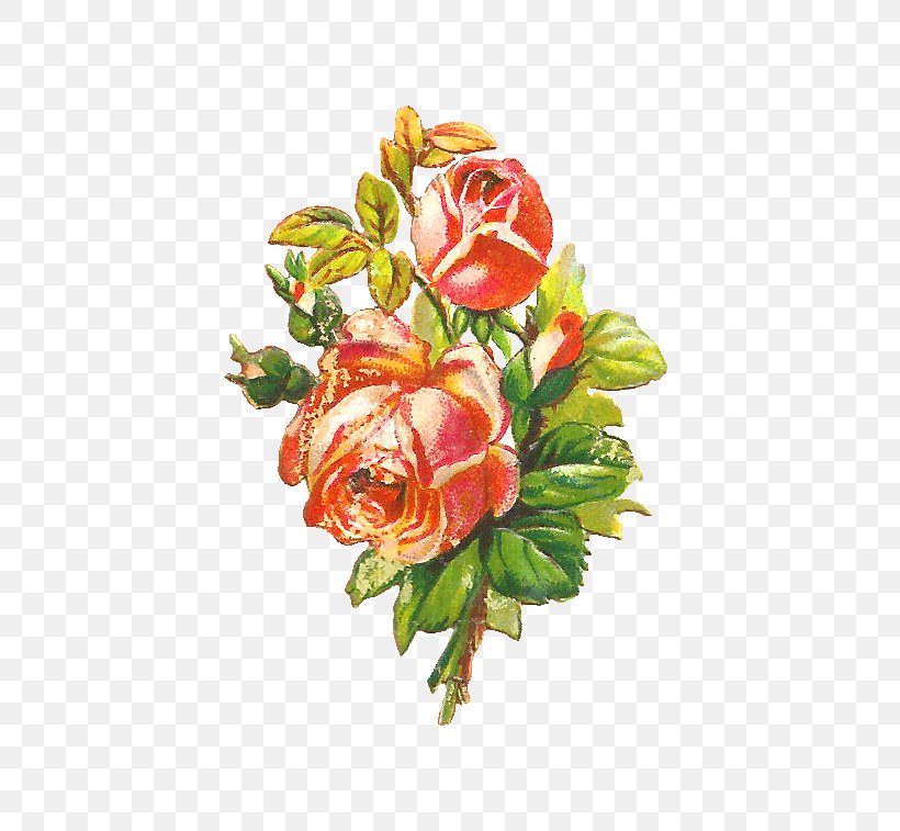 Garden Roses Pink Shabby Chic Clip Art, PNG, 607x757px, Garden Roses, Artificial Flower, Cut Flowers, Floral Design, Floristry Download Free