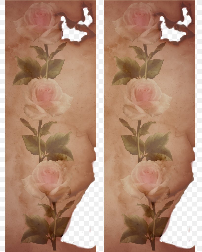 Petal Blossom Flower Garden Roses, PNG, 1280x1600px, Petal, Blossom, Common Poppy, Flora, Floral Design Download Free