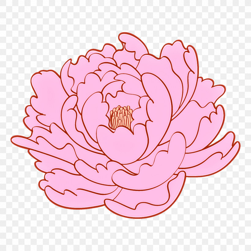 Pink Petal Flower Plant Lotus Family, PNG, 1200x1200px, Pink, Flower, Lotus Family, Petal, Plant Download Free