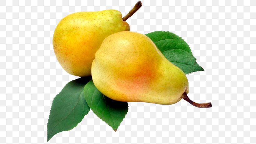 Rakia Williams Pear Moonshine Fruit Vegetable, PNG, 600x462px, Rakia, Apple, Apples, Auglis, Compote Download Free