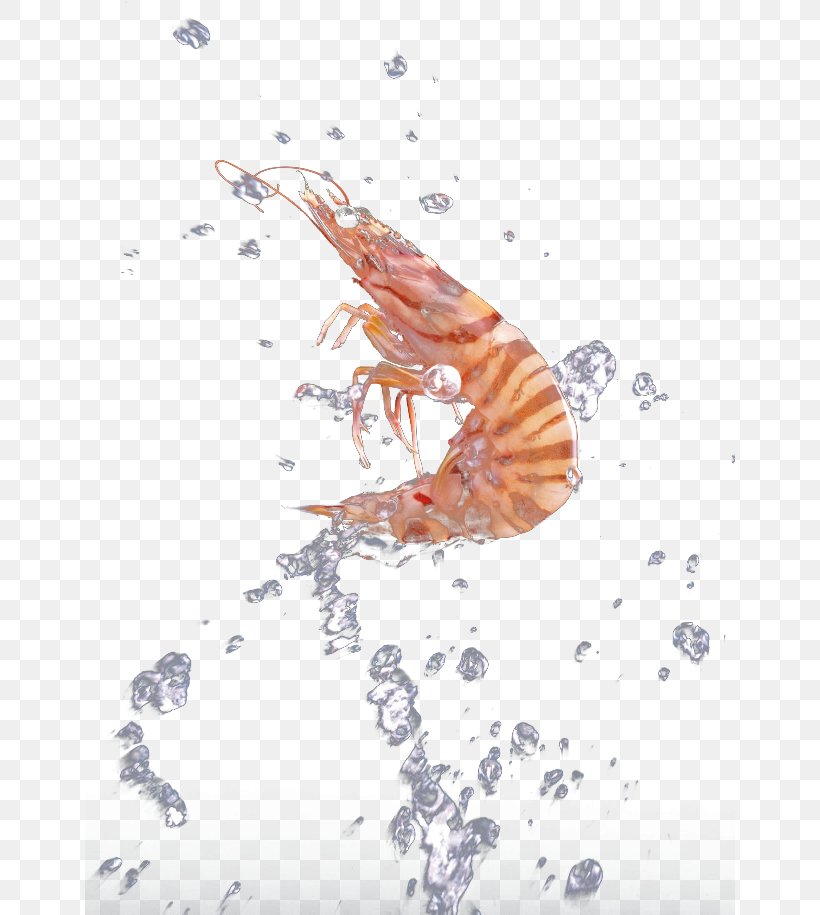 Graphic Design Illustration, PNG, 650x915px, Designer, Art, Organism, Water, Waterlogging Download Free