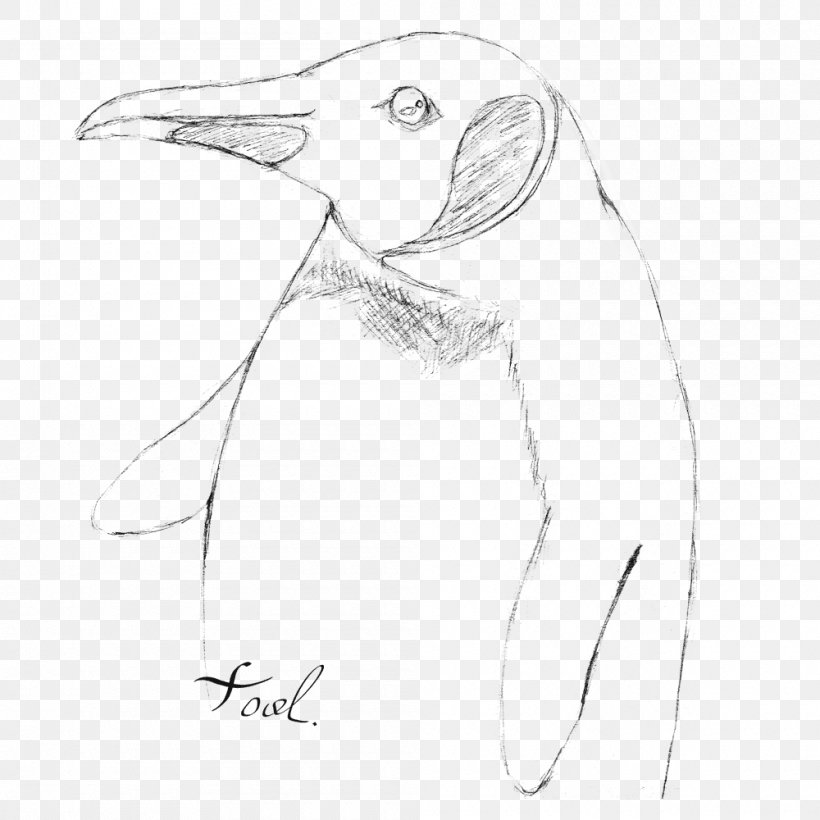 Penguin Ducks, Geese And Swans Bird Goose Sketch, PNG, 1000x1000px, Penguin, Art, Artwork, Beak, Bird Download Free