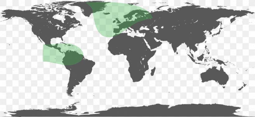 World Map Mapa Polityczna, PNG, 1200x556px, World Map, Administrative Division, Black And White, Blank Map, Green Download Free