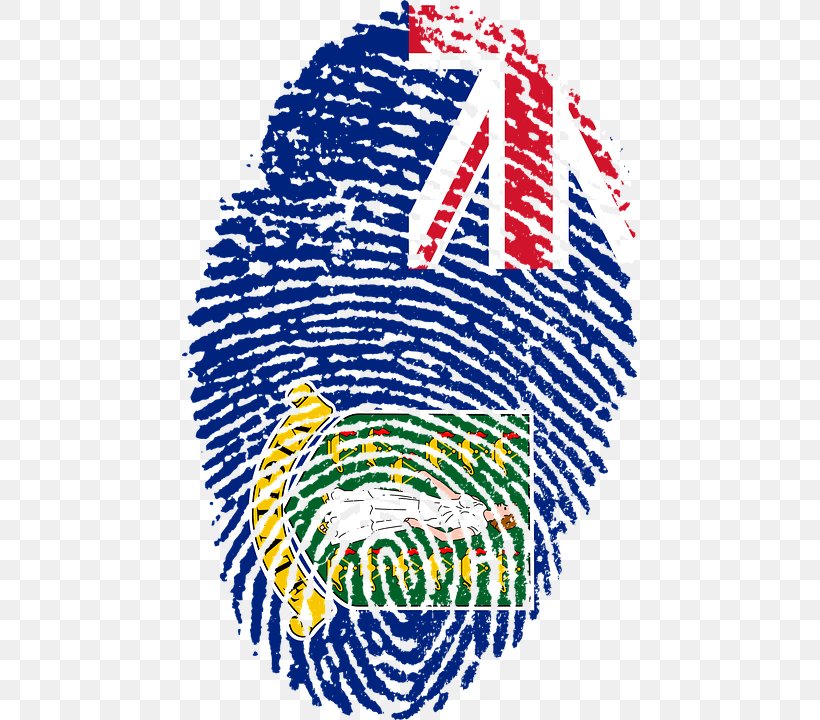 Fingerprint Flag Of Brazil Stock.xchng, PNG, 455x720px, Fingerprint, Area, Country, Flag, Flag Of Bangladesh Download Free