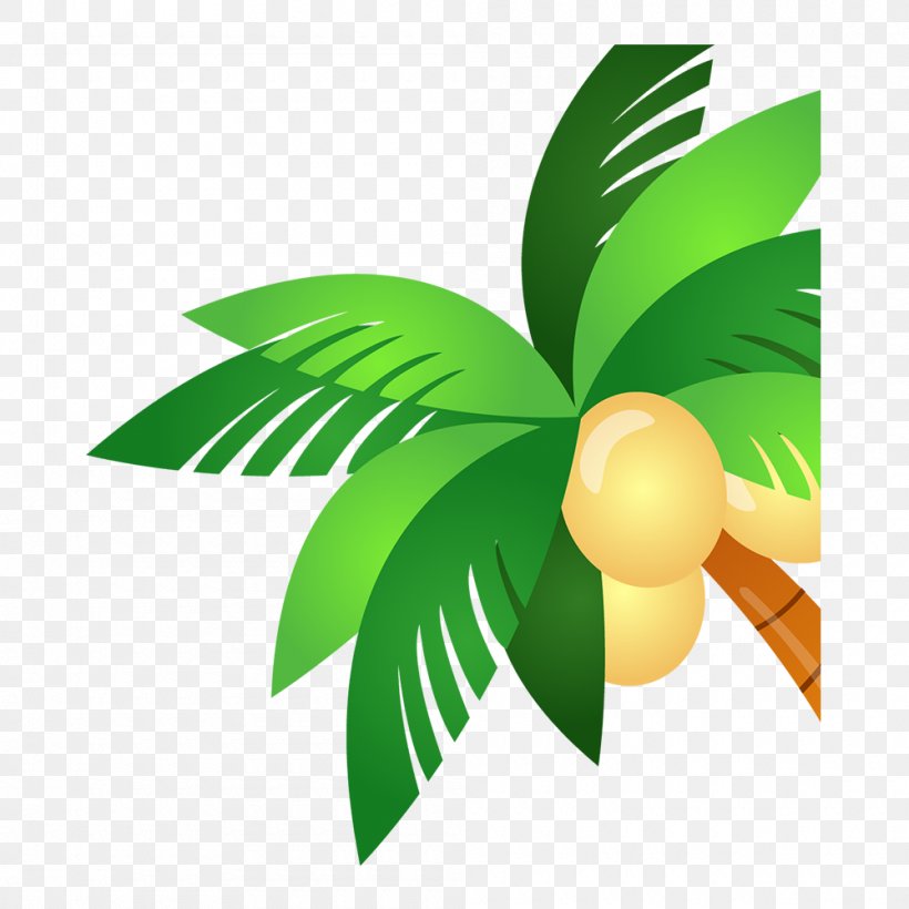 Palm Trees Coconut Image ZYC351, PNG, 1000x1000px, Palm Trees, Arecales, Broadcasting, Cartoon, Coconut Download Free