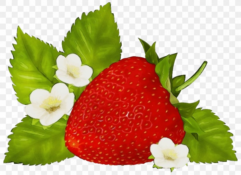 Watercolor Flower Background, PNG, 824x597px, Watercolor, Accessory Fruit, Alpine Strawberry, Berries, Berry Download Free