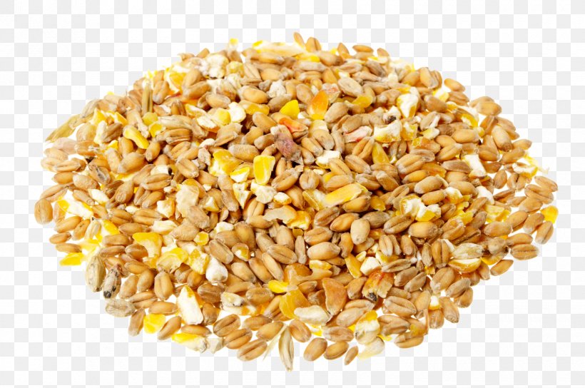 Cereal Maize Food Full Breakfast Eating, PNG, 1700x1129px, Cereal, Brown Rice, Cereal Germ, Commodity, Dietary Fiber Download Free