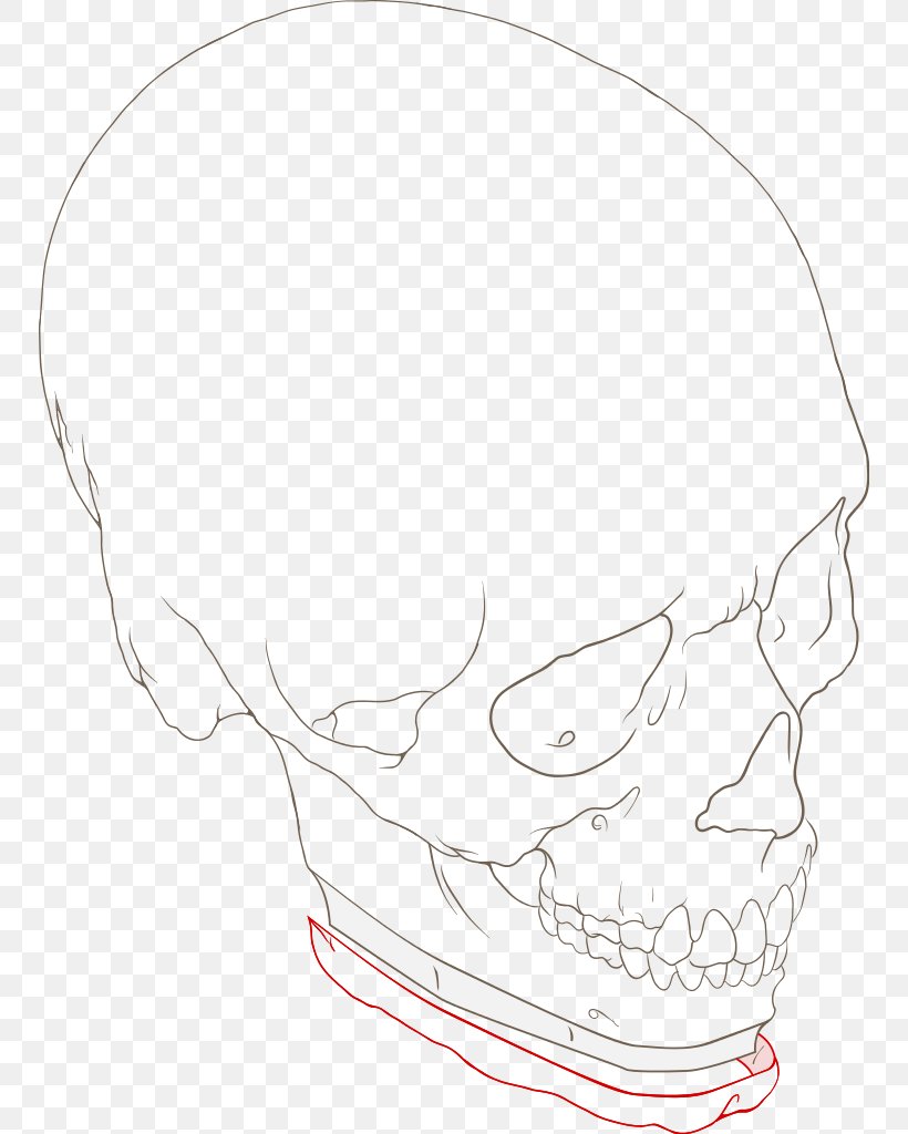 Drawing Line Art Face Skull, PNG, 750x1024px, Drawing, Artwork, Automotive Design, Black And White, Bone Download Free