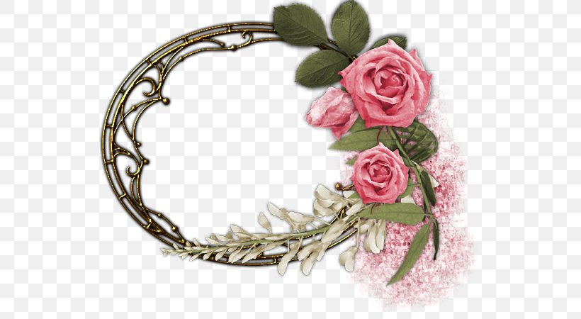 Garden Roses Picture Frames, PNG, 566x450px, Garden Roses, Cut Flowers, Digital Photo Frame, Floral Design, Floristry Download Free