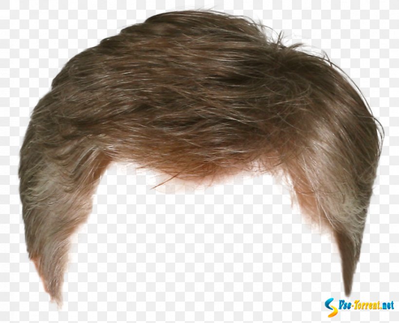 Hairstyle Wig Barber Long Hair, PNG, 876x710px, Hairstyle, Bangs, Barber, Brown Hair, Capelli Download Free