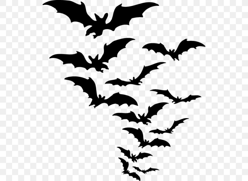 Halloween Clip Art, PNG, 538x600px, Halloween, Artwork, Bat, Black And White, Branch Download Free